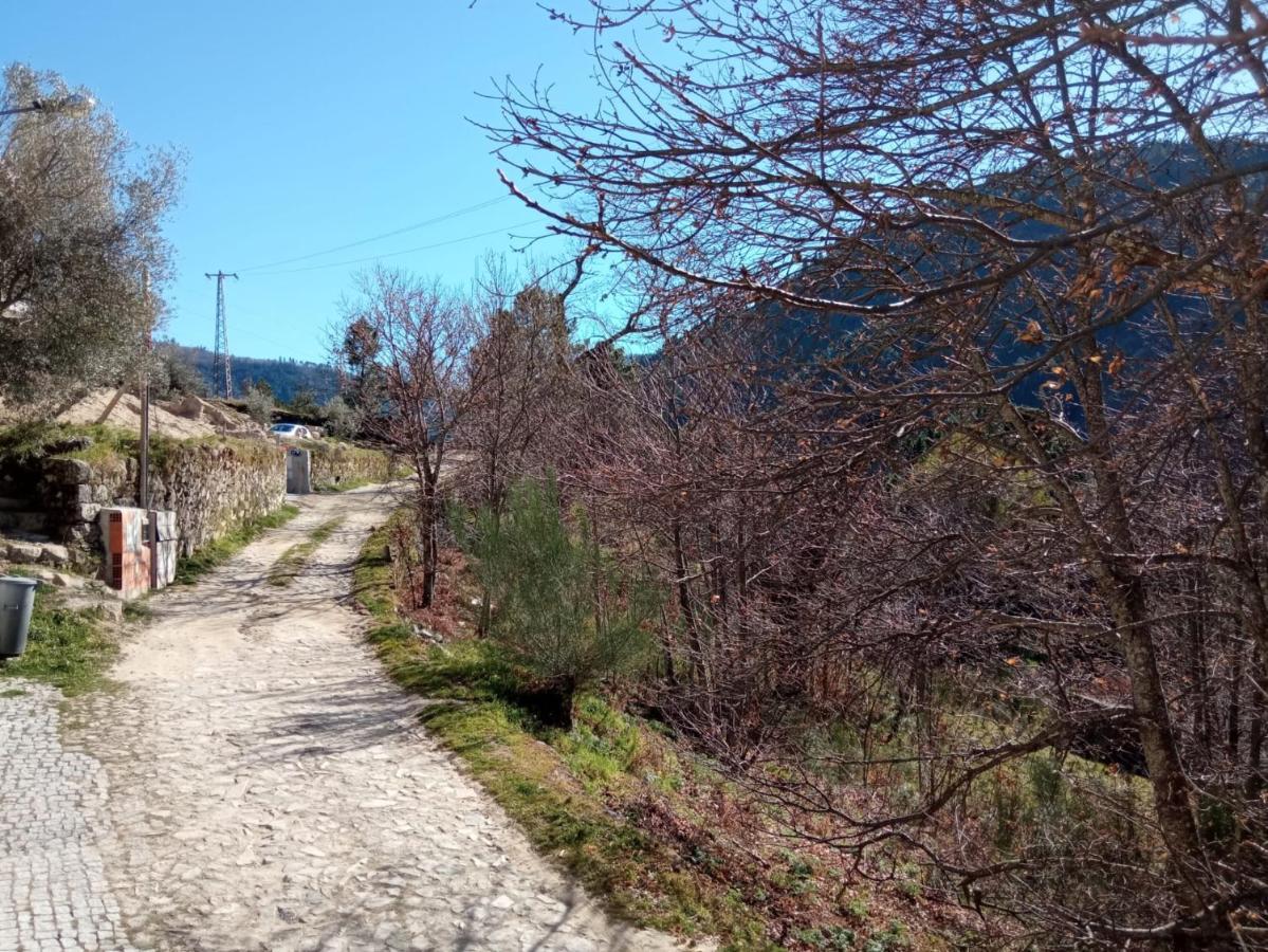 Casa Das Oliveiras - Manteigas Exteriér fotografie