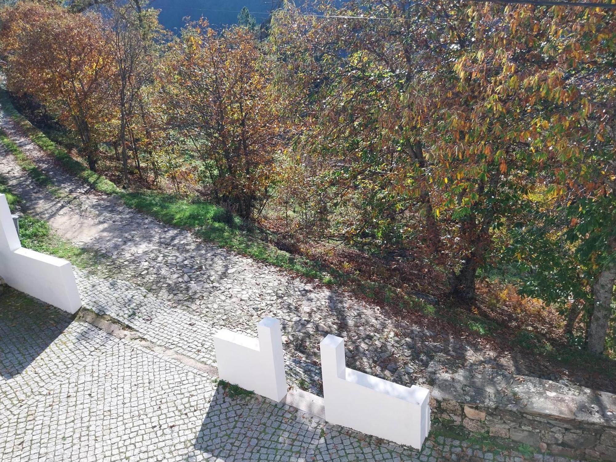 Casa Das Oliveiras - Manteigas Exteriér fotografie